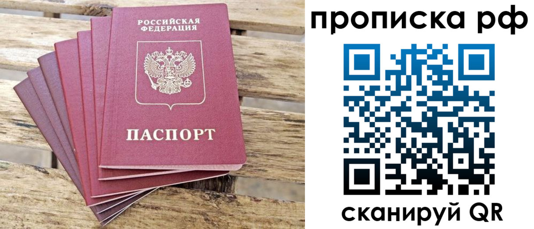прописка гарантия в Новошахтинске